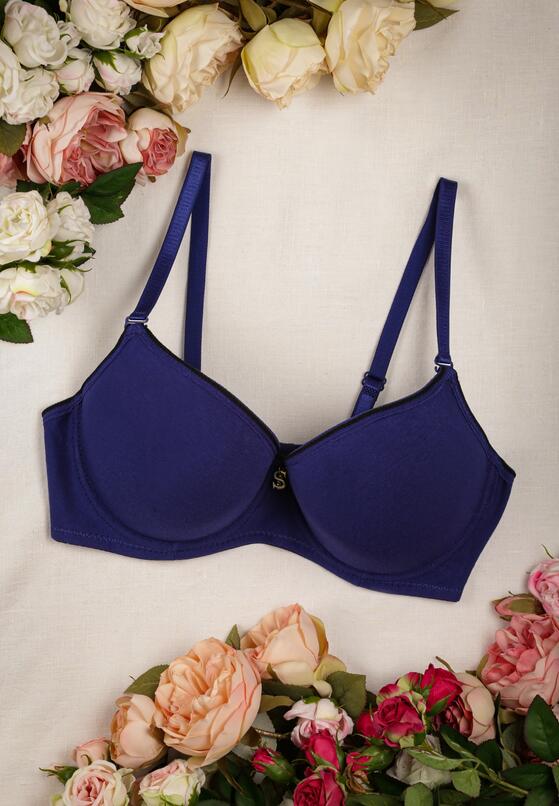 Sutien Bleumarin 1