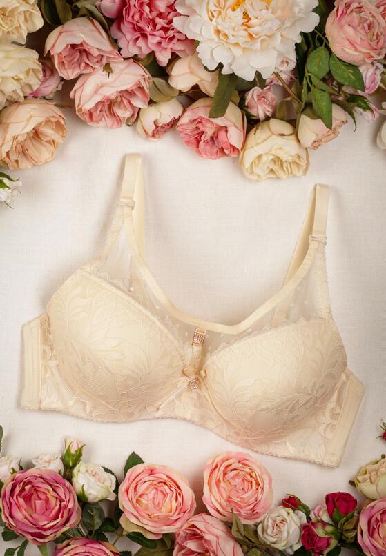 Sutien Bej deschis 1