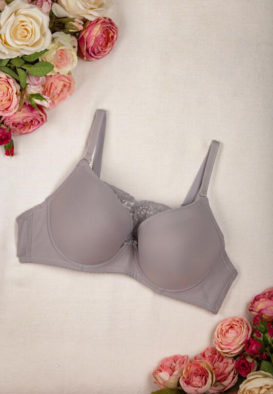 Sutien Gri 1