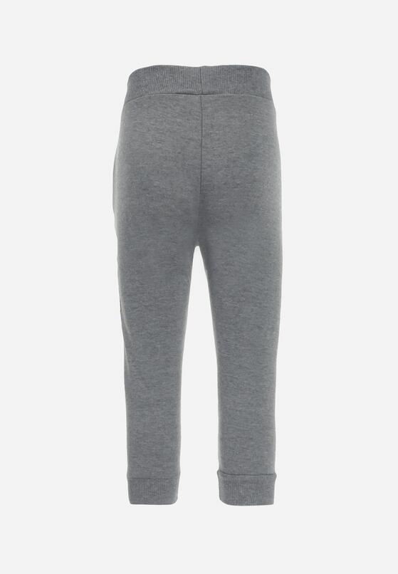 Pantaloni Gri închis 2