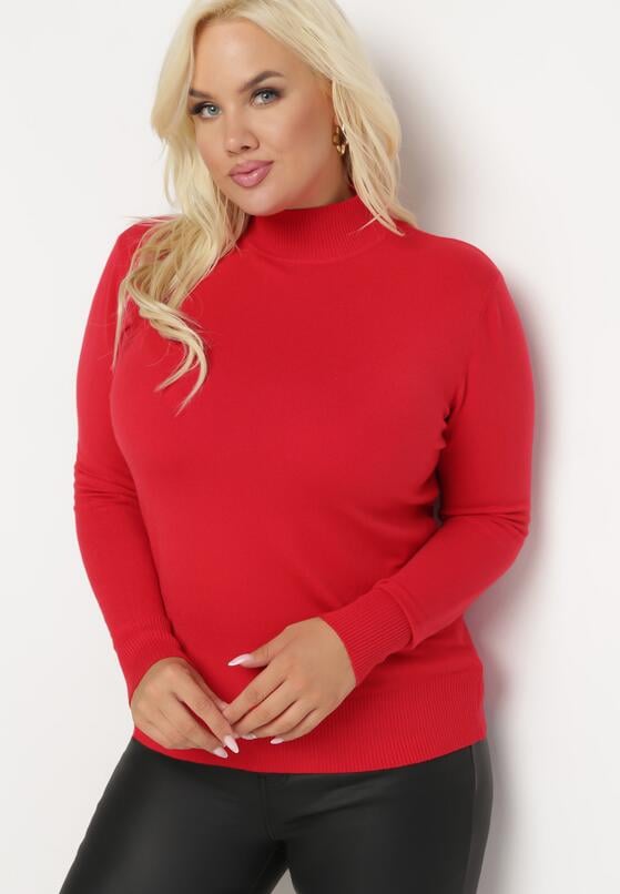 Czerwony Sweter z Golfem Erimessa 4