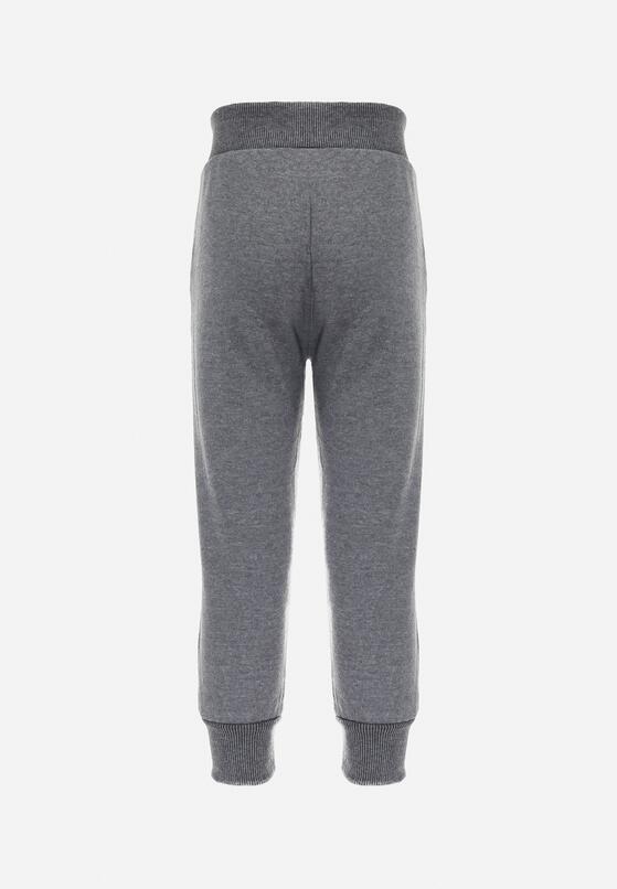 Pantaloni Gri 2