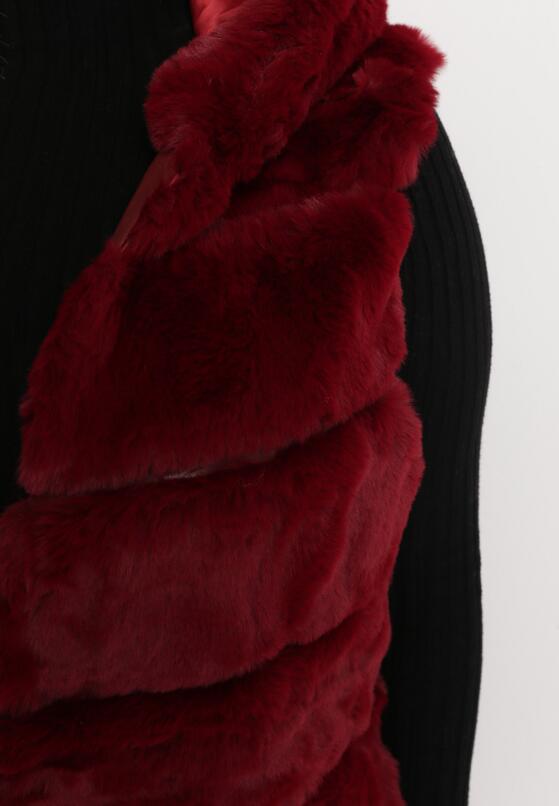 Vestă  Bordo 5