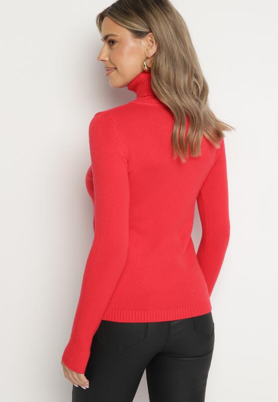 Czerwony Klasyczny Golf z Domieszką Wełny i Kaszmiru Avorina 3