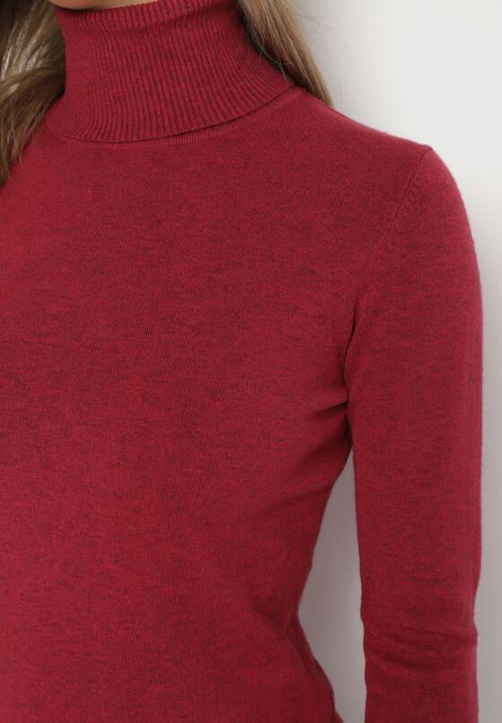 Bordowy Golf Sweter z Wiskozą i Kaszmirem Zailaya 5
