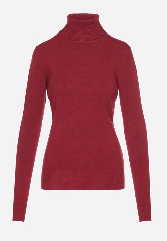Bordowy Golf Sweter z Wiskozą i Kaszmirem Zailaya 6