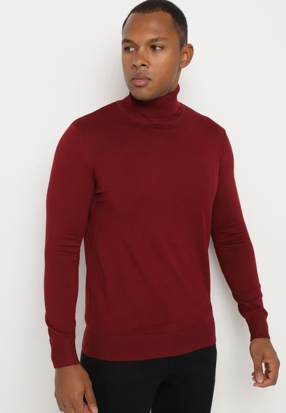 Bordowy Wiskozowy Golf o Klasycznym Kroju Reaniethra 2