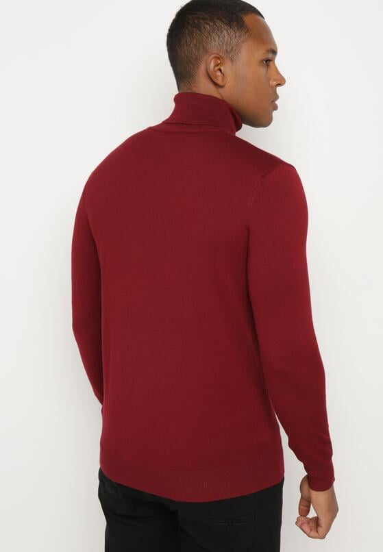 Bordowy Wiskozowy Golf o Klasycznym Kroju Reaniethra 3