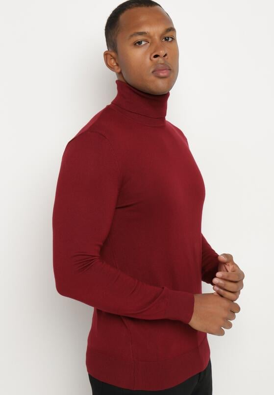 Bordowy Wiskozowy Golf o Klasycznym Kroju Reaniethra 4