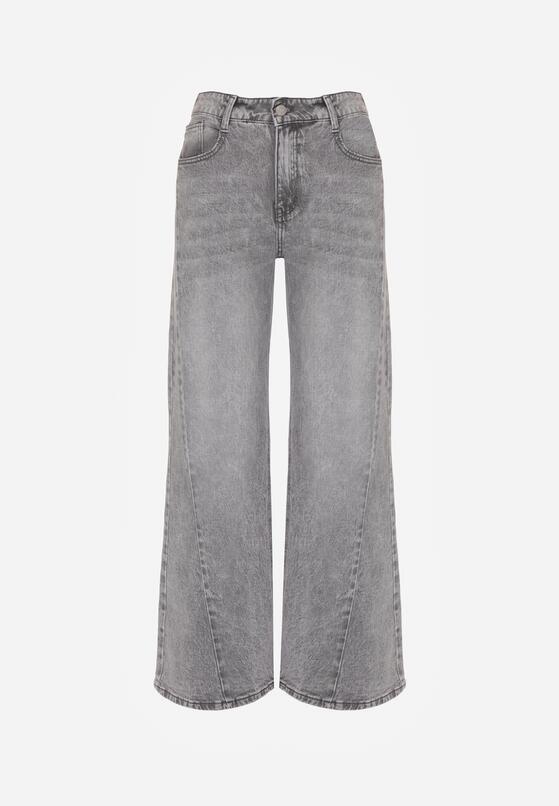 Szare Bawełniane Jeansy o Szerokim Kroju z Wysokim Stanem i Przetarciami Ryrixia 6