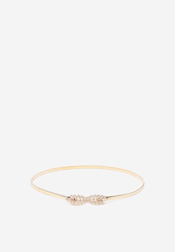 Złoty Pasek Deineina 1