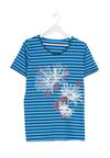 Niebieski T-shirt Trochilus