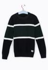 Ciemnozielony Sweter Swanbank