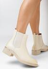 Botine Bej