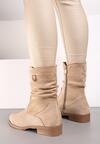 Botine Bej