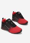 Pantofi sport Roșu cu negru