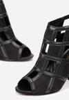 Botine Negre