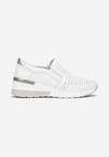 Pantofi casual Albi