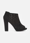Botine Negre