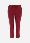 Pantaloni Bordo