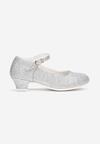 Pantofi casual Argintii