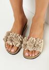 Beżowe Klapki na Niskim Koturnie z Ozdobnymi Kwiatkami Lundia
