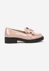 Pantofi casual Roz