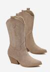 Botine Bej