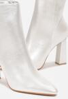 Botine Argintii