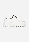 Pantofi casual Albi