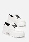 Pantofi casual Albi