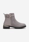 Botine Gri