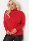 Czerwony Sweter z Golfem Erimessa