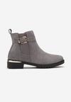 Botine Gri