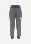 Pantaloni Gri