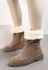 Botine Bej