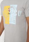 Szara Bawełniana Koszulka T-Shirt z Krótkim Rękawem i Ozdobnym Nadrukiem Branessa