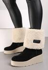 Botine Negre