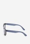 Ochelari Bleumarin
