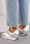 Pantofi sport Gri