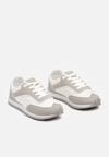 Pantofi sport Gri