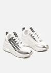 Sneakers Argintii