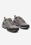 Pantofi sport Gri
