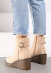 Botine Bej