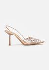 Pantofi stiletto Culoarea șampaniei