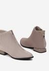 Botine Bej