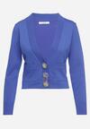 Cardigan Albastru