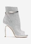 Botine Argintii