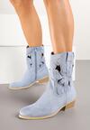 Botine Albastre