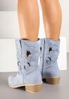 Botine Albastre